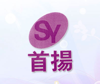 首扬 SY