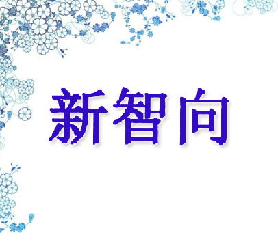 新智向