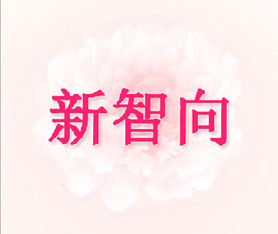 新智向