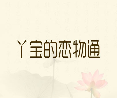 丫宝的恋物通