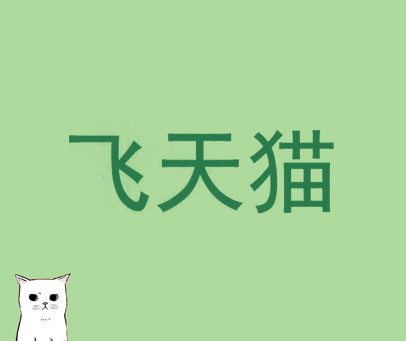 飞天猫