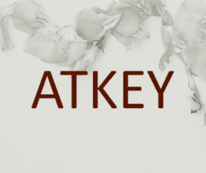ATKEY