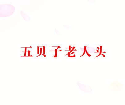 五贝子老人头