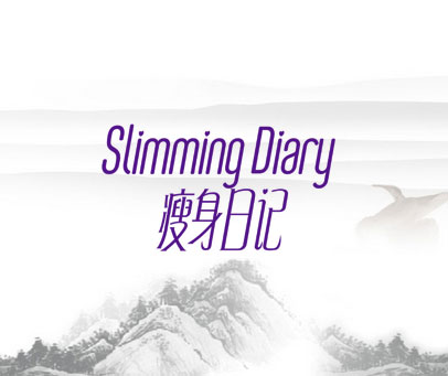 瘦身日记 SLIMMING DIARY