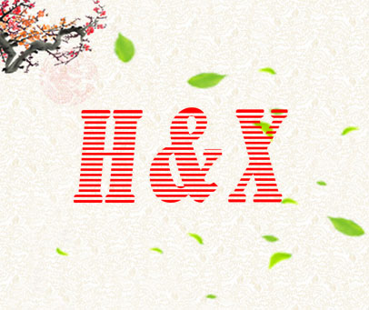 H&X