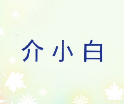 介小白
