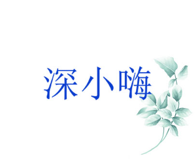 深小嗨