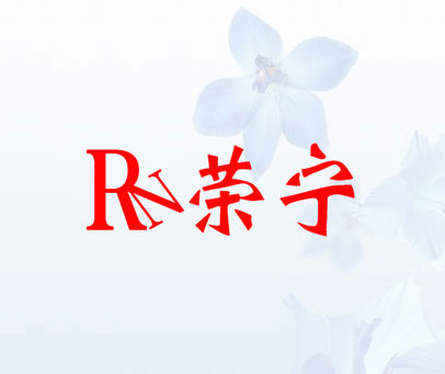 荣宁 RN