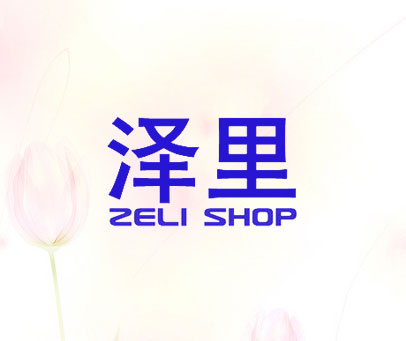 泽里 ZELI SHOP