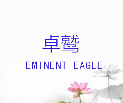 卓鹫  EMINENT EAGLE