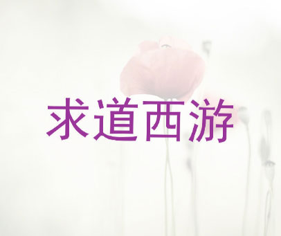求道西游