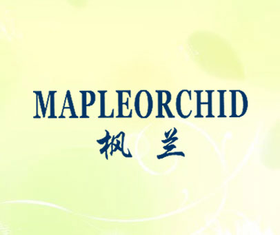 枫兰 MAPLEORCHID