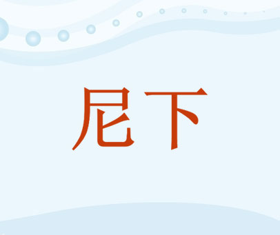 尼下