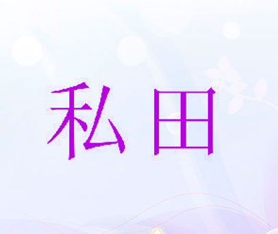 私田