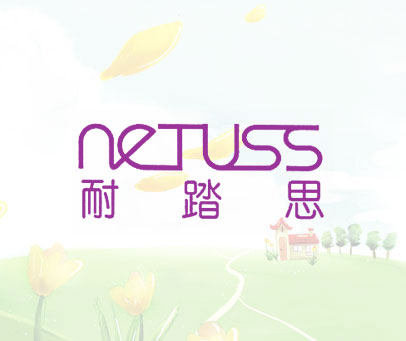 耐踏思 NETUSS