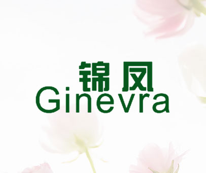 锦凤  GINEVRA
