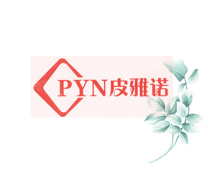 皮雅诺 PYN