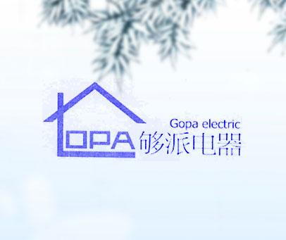 够派电器 GOPA ELECTRIC OPA