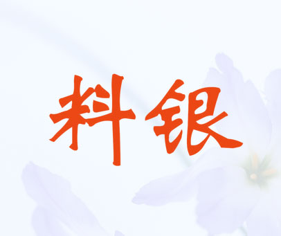 料银