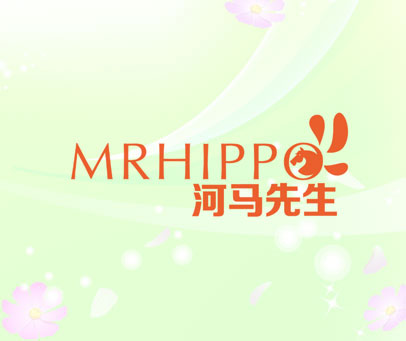 河马先生 MRHIPPO