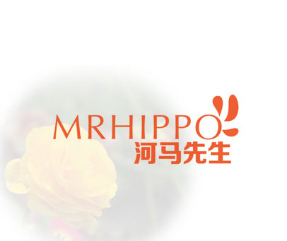 河马先生 MRHIPPO