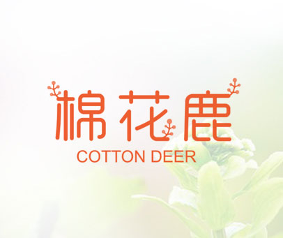 棉花鹿  COTTON DEER