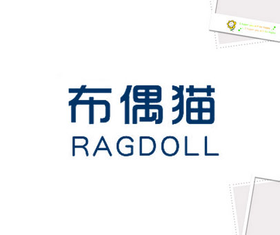 布偶猫 RAGDOLL