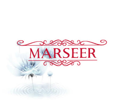 MARSEER