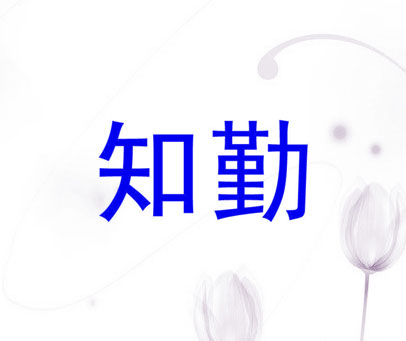知勤