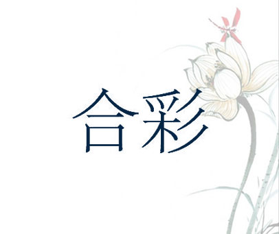 合彩