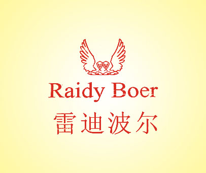 雷迪波尔;RAIDY BOER