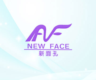 新面孔 NEW FACE