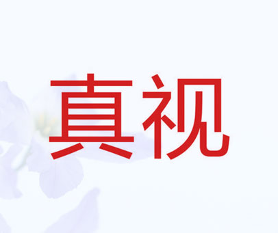 真视