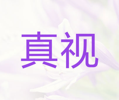真视