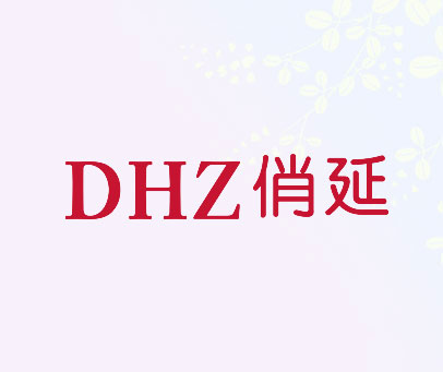 DHZ 俏延