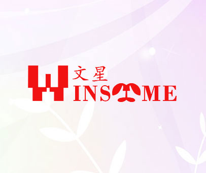 文星 WINSMME
