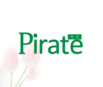 海盗 PIRATE