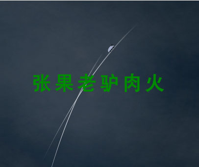 张果老驴肉火