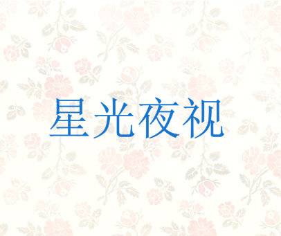 星光夜视