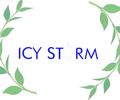 ICY STORM