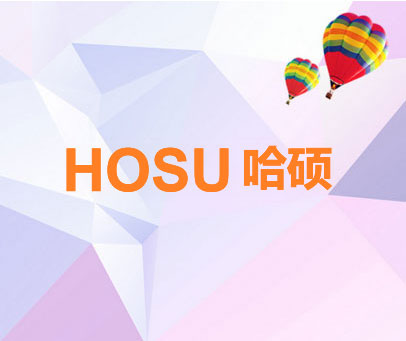 哈硕 HOSU