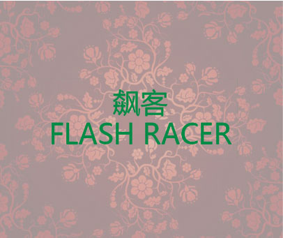 飙客 FLASH RACER