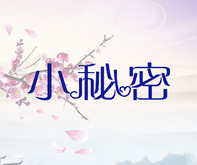小秘密