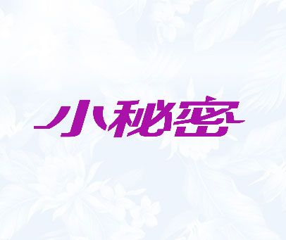 小秘密