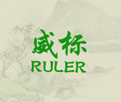威标 RULER