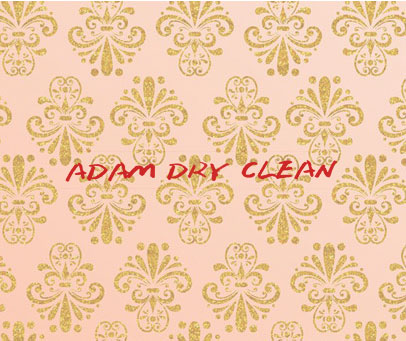 ADAM DRY CLEAN