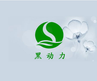 黑动力