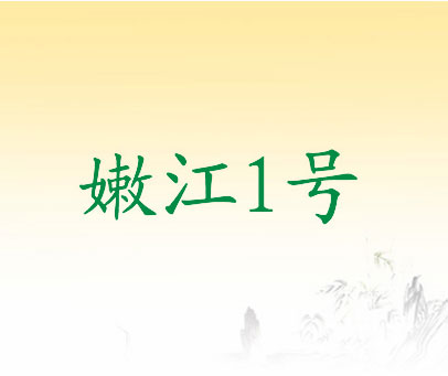 嫩江1号