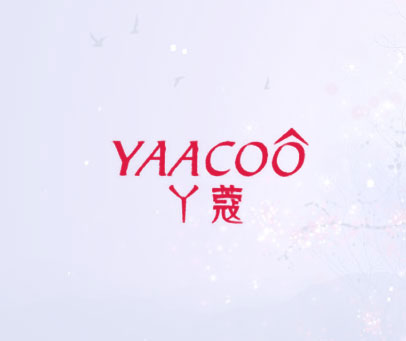 丫蔻 YAACOO
