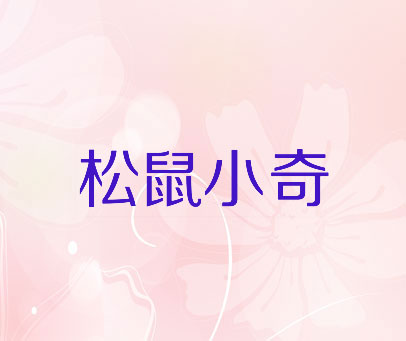 松鼠小奇